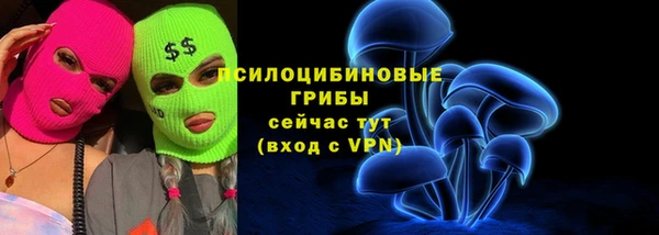 не бодяженный Медвежьегорск
