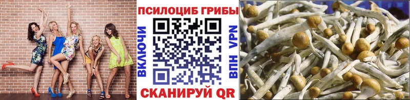 Купить  Котельниково  Псилоцибиновые грибы ЛСД 